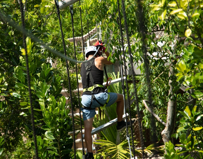 Adventure Activities at Treetop Trekking Miami