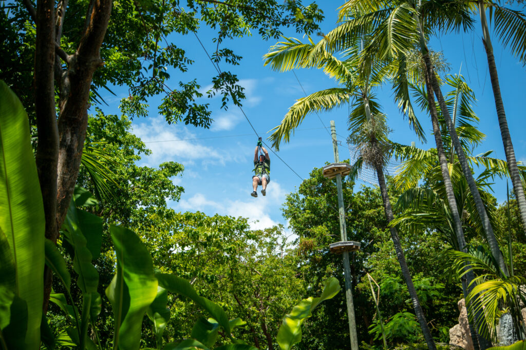 Treetop Trekking Miami Fun Adventures in Miami Florida
