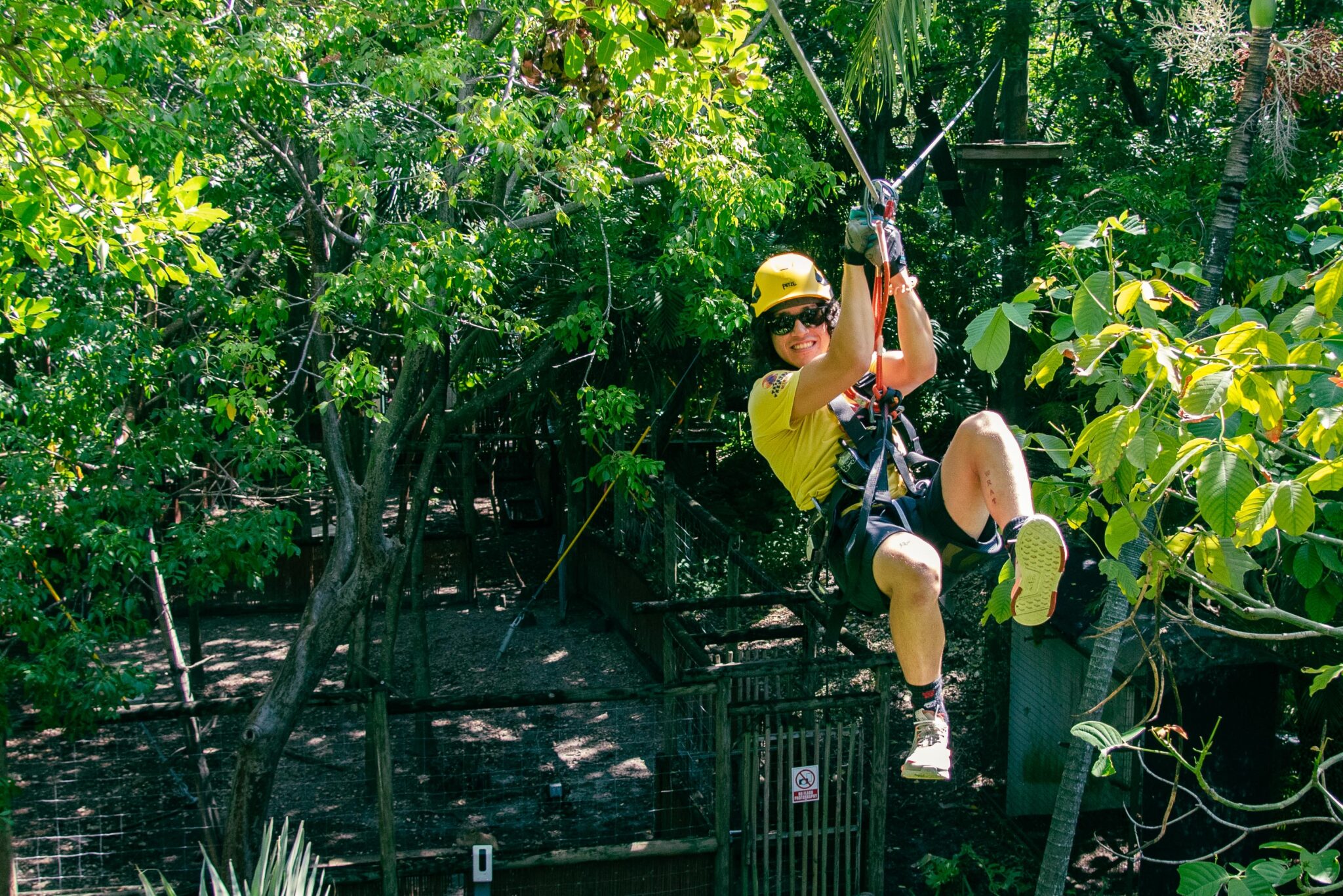 Awesome Miami Jobs Treetop Trekking Miami