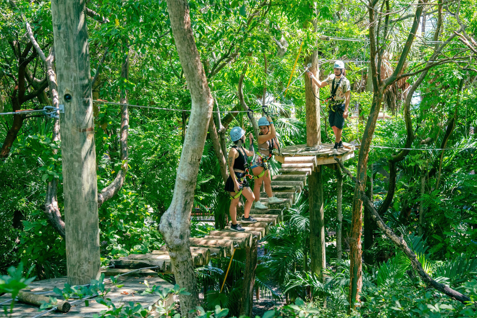 Activities for Groups in Miami