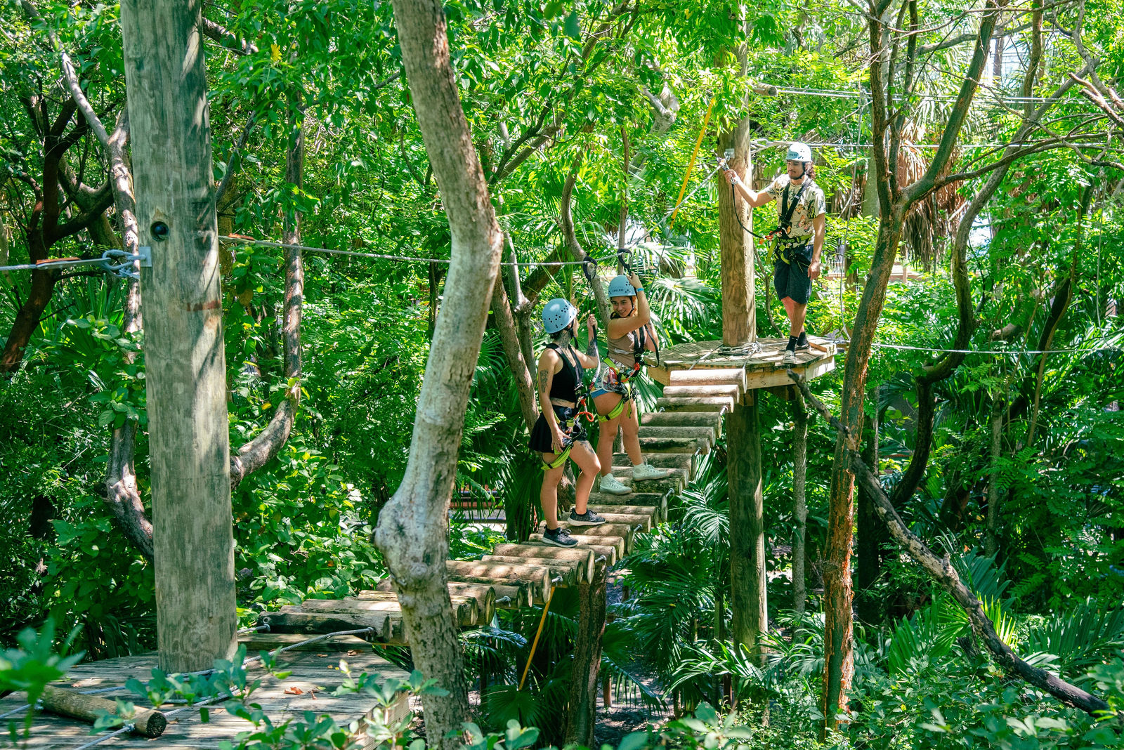 Treetop Trekking Miami