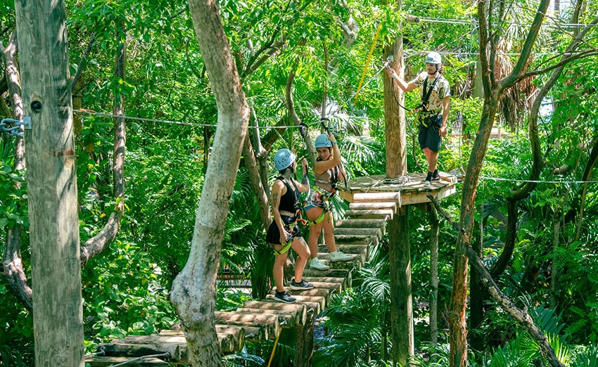 A group of friends in safety gear stands on a wooden platform and bridge surrounded by lush jungle at Treetop Trekking Miami.